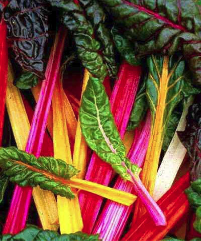 Eating nutrient dense foods like swiss chard, a green leafy vegetable, is Where Easy Living Begins
